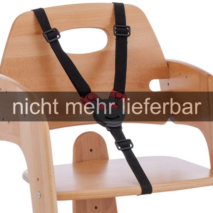 Noch mehr Sicherheit: 3-Punkt-Schultergurt, passend für Hochstuhl Premium
