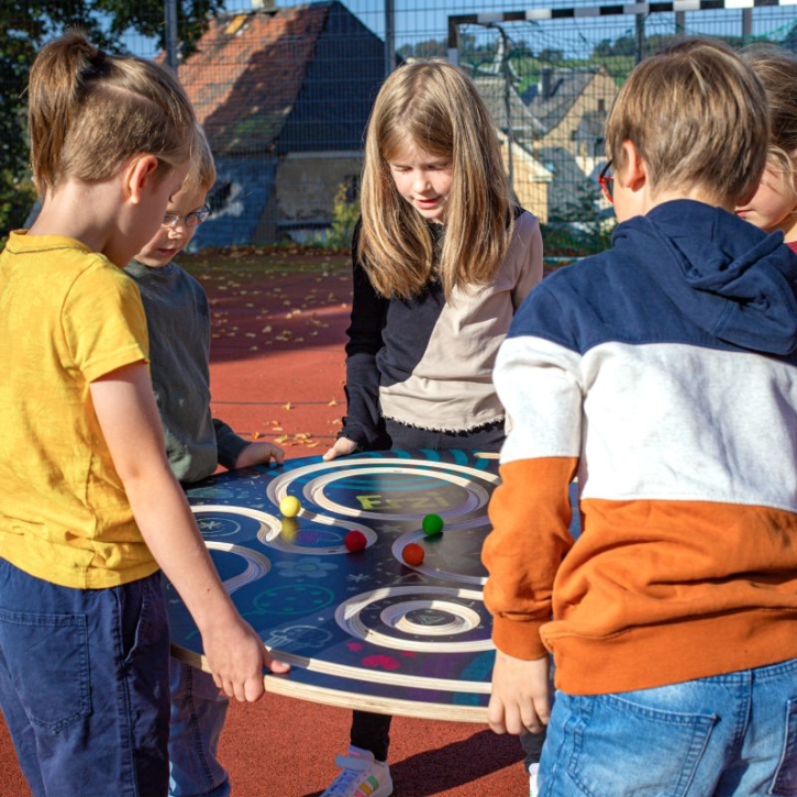 Teamdisc - Erzi 46252