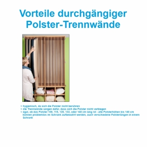 Polsterschrank mit Lochblechtüren, mit Polster-Trennwänden,  für 10 Polster, B/H/T 103×227×65/67 cm