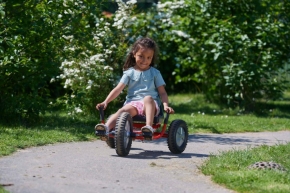 Winther 8900480 VIKING EXPLORER FunRacer