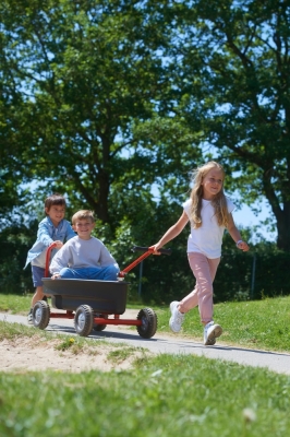 Winther 8400665 VIKING EXPLORER Surfer Boat