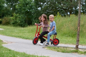 VIKING Laufrad Tandem BikeRunner, für zwei Kinder VIKING Laufrad Tandem BikeRunner, für zwei Kinder