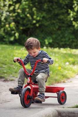 MINI VIKING Krippendreirad mit Wanne, rot MINI VIKING Krippendreirad mit Wanne, rot