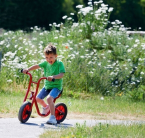 VIKING BikeRunner - Laufrad mit niedrigem Einstieg VIKING BikeRunner - Laufrad mit niedrigem Einstieg