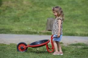 VIKING CHALLENGE runde Schubkarre VIKING CHALLENGE runde Schubkarre