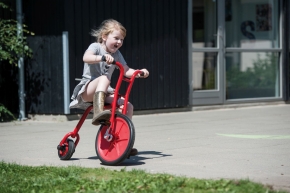 VIKING EXPLORER Hochrad, klein VIKING EXPLORER Hochrad, klein