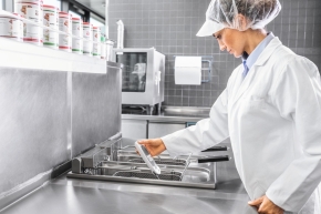 Infrarot-Einstechthermometer - testo 104-IR