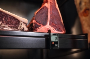 Mini-Datenlogger - testo 174 H für Feuchte und Temperatur, schwarz mit USB-C