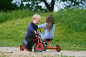 Winther 8600438 MINI VIKING Scooter