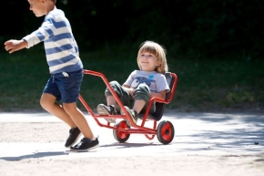 Winther 8600448 MINI VIKING Sulky