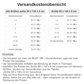 (Ersatz-)Bezug für Liegepolster-Schaumstoff, beidseitig Kunstleder (Größe, Farbe wählen)