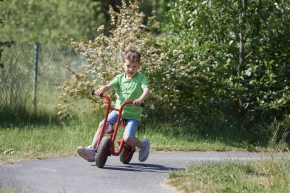 Winther 8900499 VIKING BikeRunner Large mit niedrigem Einstieg