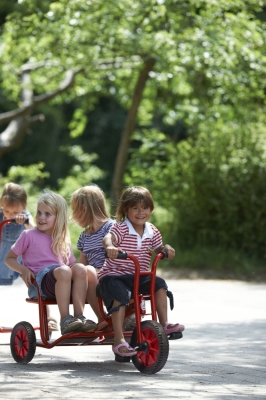 Winther 8900468 VIKING Doppeltaxi