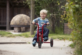 Winther 8900450 VIKING Dreirad klein