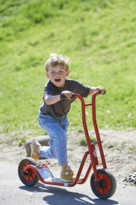 Winther 8900460 VIKING Roller klein