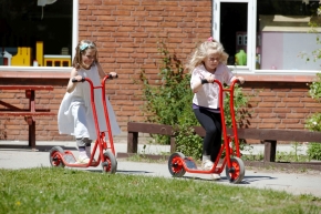 Winther 8900460 VIKING Roller klein