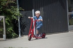 Winther 8900460 VIKING Roller klein