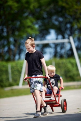 Winther 8900463 VIKING Sulky