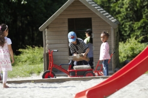 Winther 8900493 VIKING Truck